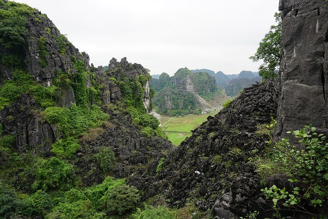 Más Tam Coc: recorrido en barca, Mua Cave y santuario de aves de Thung Nham - VIETNAM, TIERRA DE DRAGONES (16)