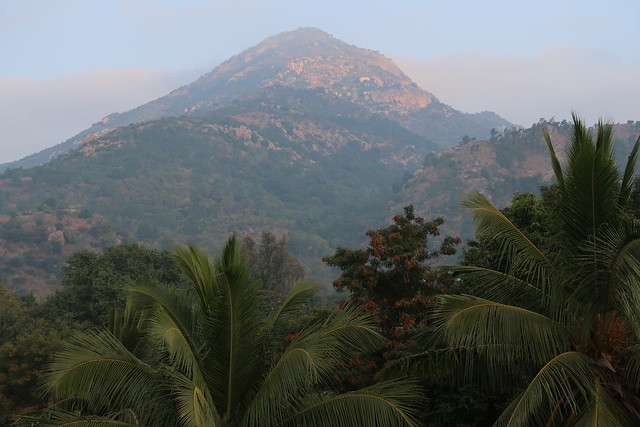 Rector's India Trip