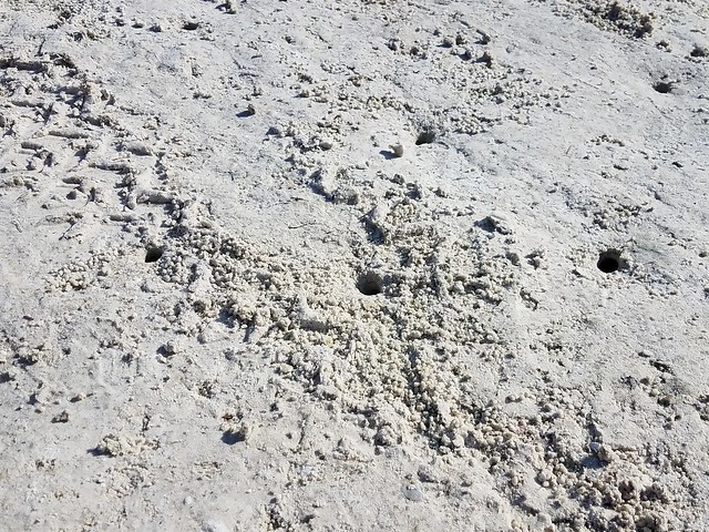 sand_holes