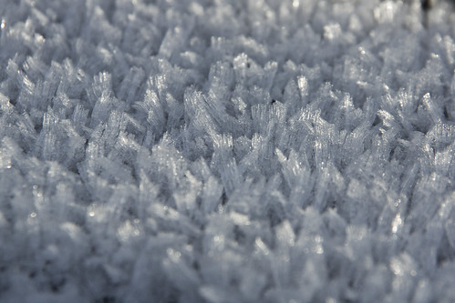 aberdeenshire scotland scottishhighlands highlands macro closeup ice frost crystal frozen topic abigfave