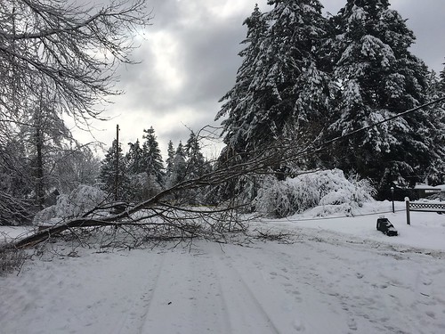 wind snowstorm windstorm snow icy ice outages outage pugetsoundenergy pugetpower pse olympia